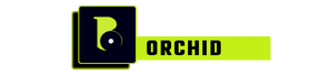 BrandsOrchid Logo